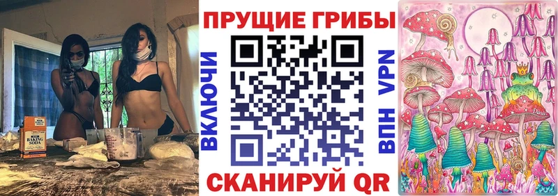 где найти   Сергач  ОМГ ОМГ tor  Галлюциногенные грибы MAGIC MUSHROOMS 